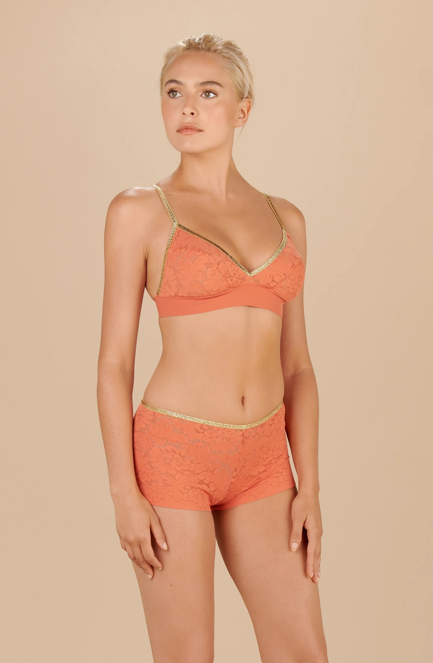 Dylan - Paprika 4 Dylan - Paprika – Image 2